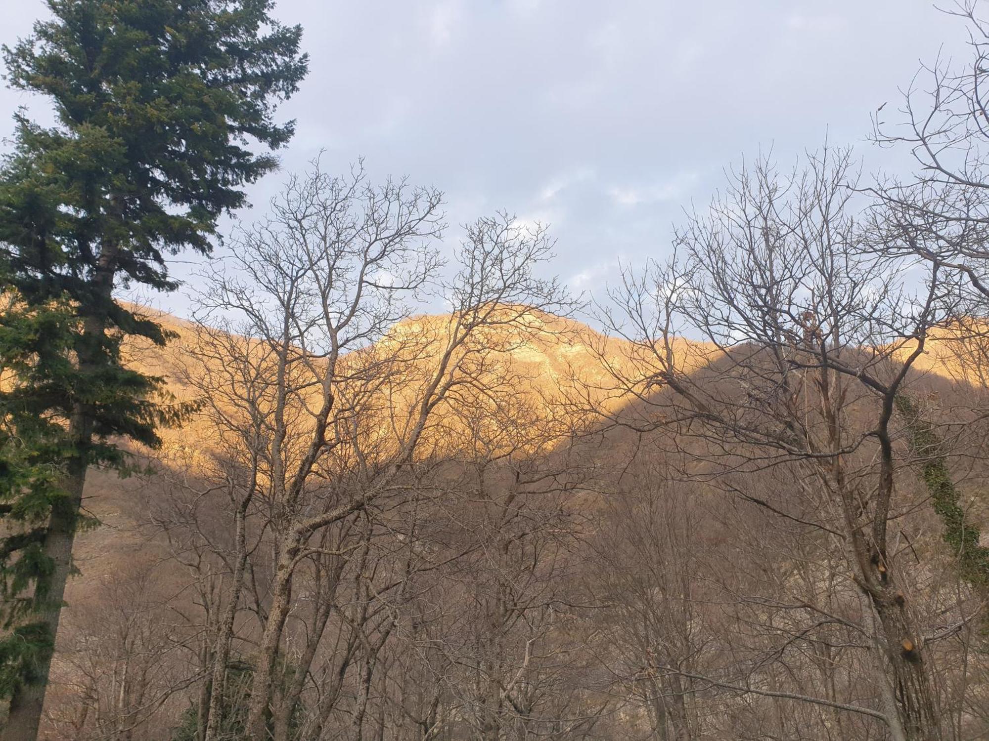 Locanda In Montagna Da Emili&Gabriel 리자노인벨베데레 외부 사진